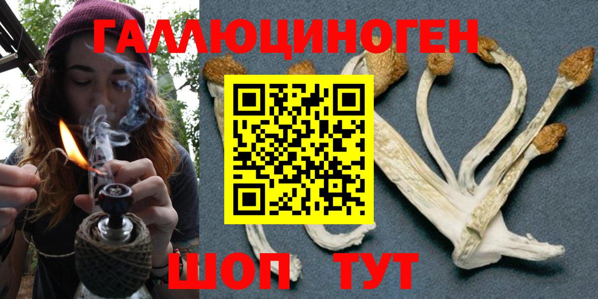Дивногорск  Галлюциногенные грибы MAGIC MUSHROOMS  Вход с VPN 